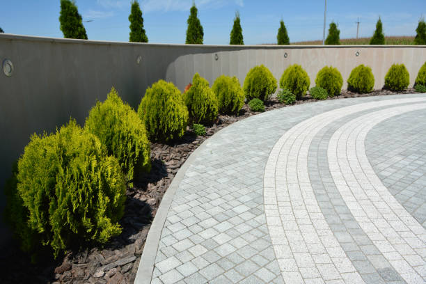 Best Driveway Pavers Near Me  in Oneida, TN
